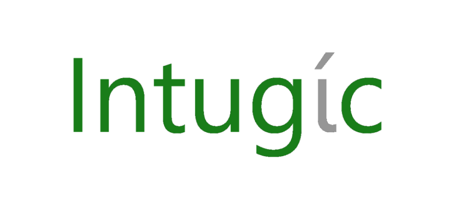 assets/images/intugic-5-886x438.png